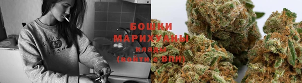 молекула духа Каменка