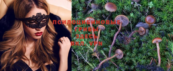 молекула духа Каменка