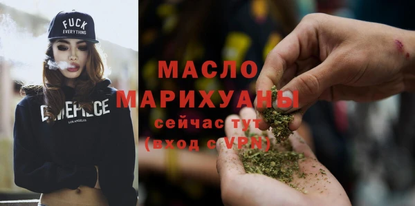 молекула духа Каменка