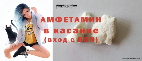молекула духа Каменка