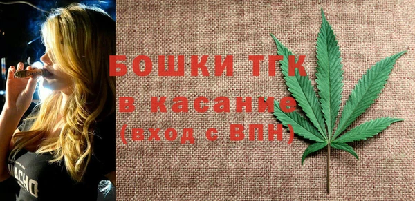 молекула духа Каменка