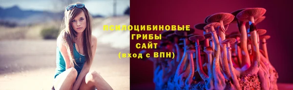 спайс Каменногорск