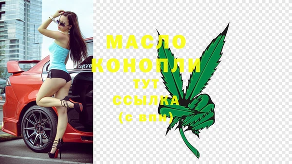 сатива Каменск-Шахтинский