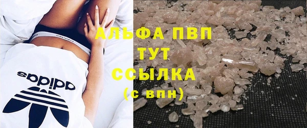 крисы Тавда