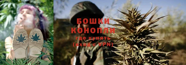 молекула духа Сясьстрой