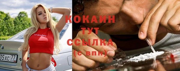молекула духа Каменка
