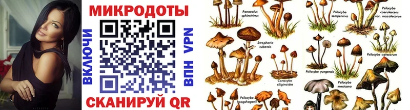 Галлюциногенные грибы GOLDEN TEACHER  Купить закладки  Долинск 